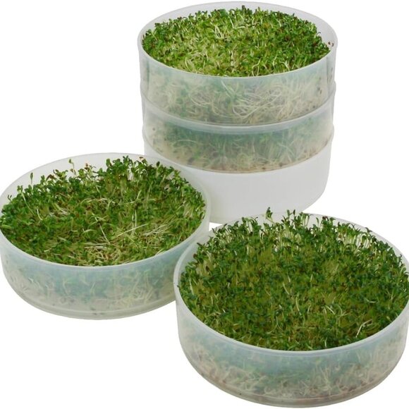 VKP Brands 4-Tray Sprouter - Picture 4 of 7